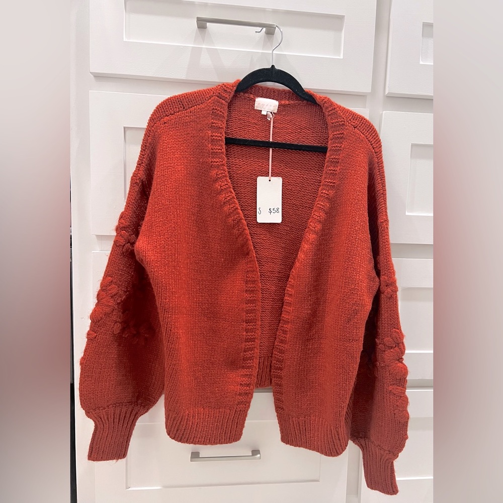 Rust colored Cardigan